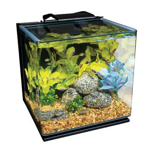 10-Gallon Glass Fish Tank Set