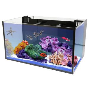 20 NUVO Fusion All-in-One Lengthy Aquarium