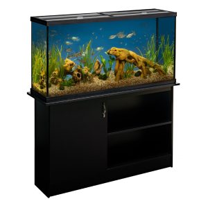 60-Gallon Fashionable Aquarium with Excessive-Definition LED Lighting